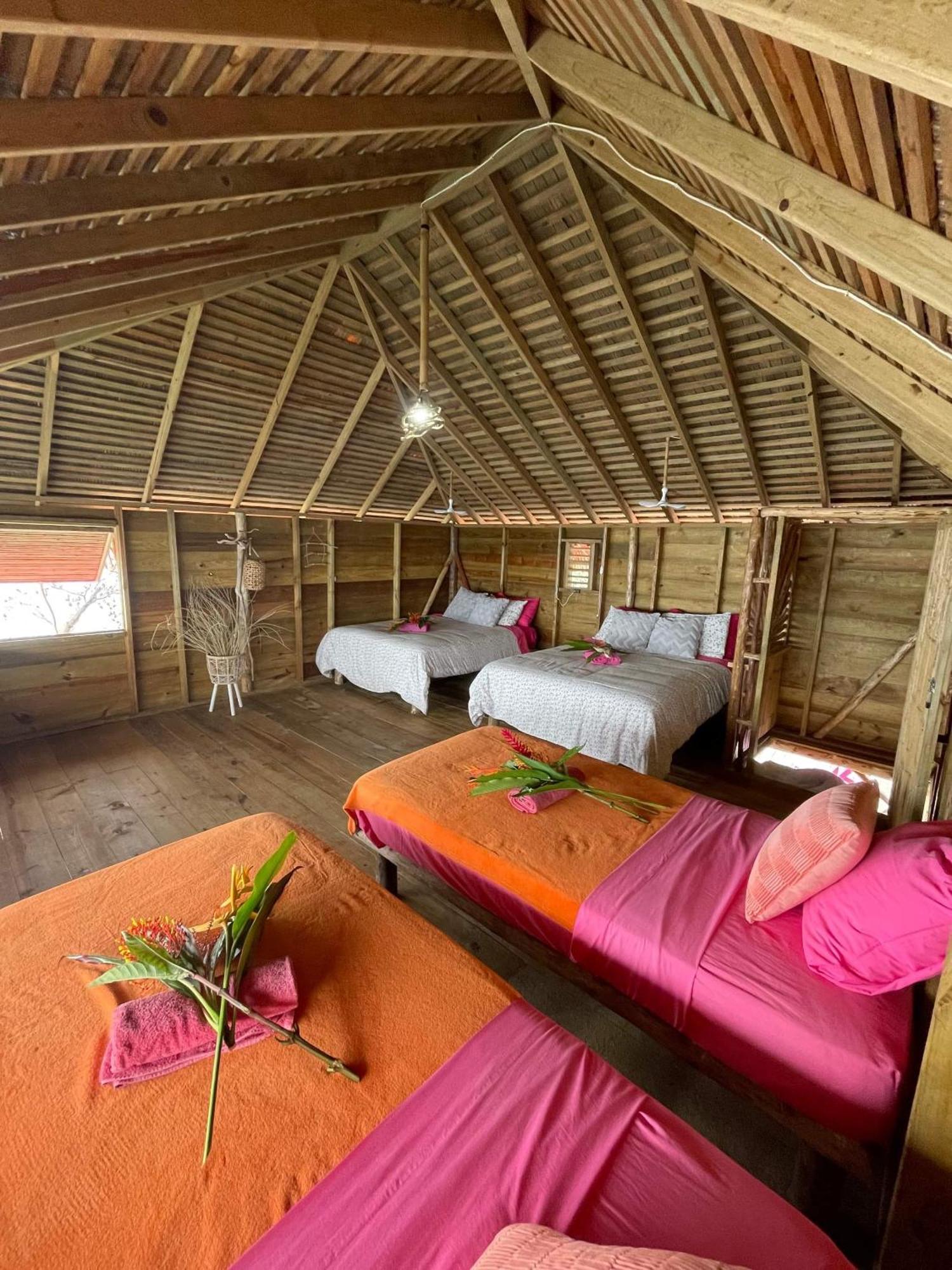 Urraca Monkey Island Eco Resort (Adults Only) Punta Laurel Exterior foto