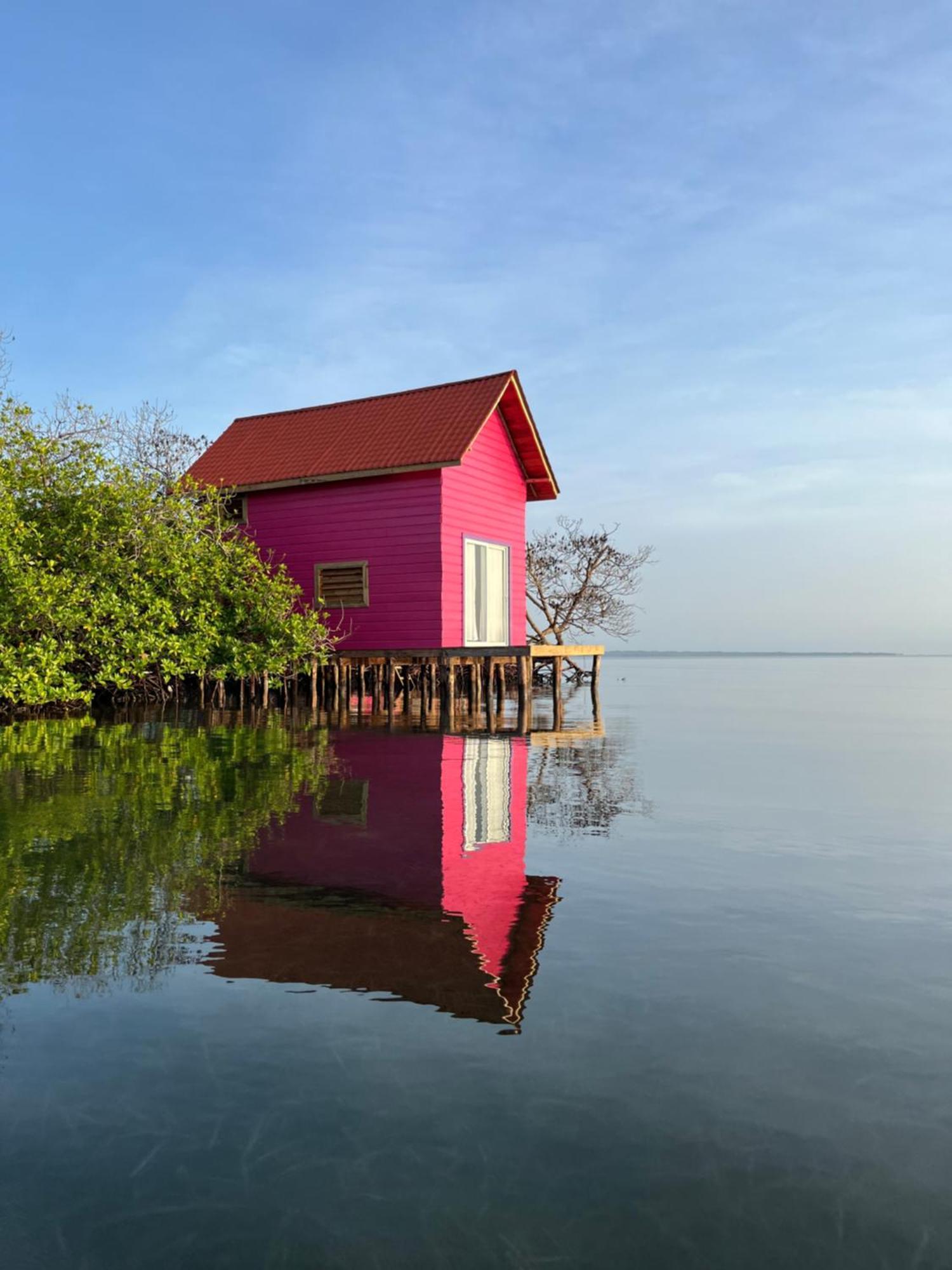 Urraca Monkey Island Eco Resort (Adults Only) Punta Laurel Exterior foto