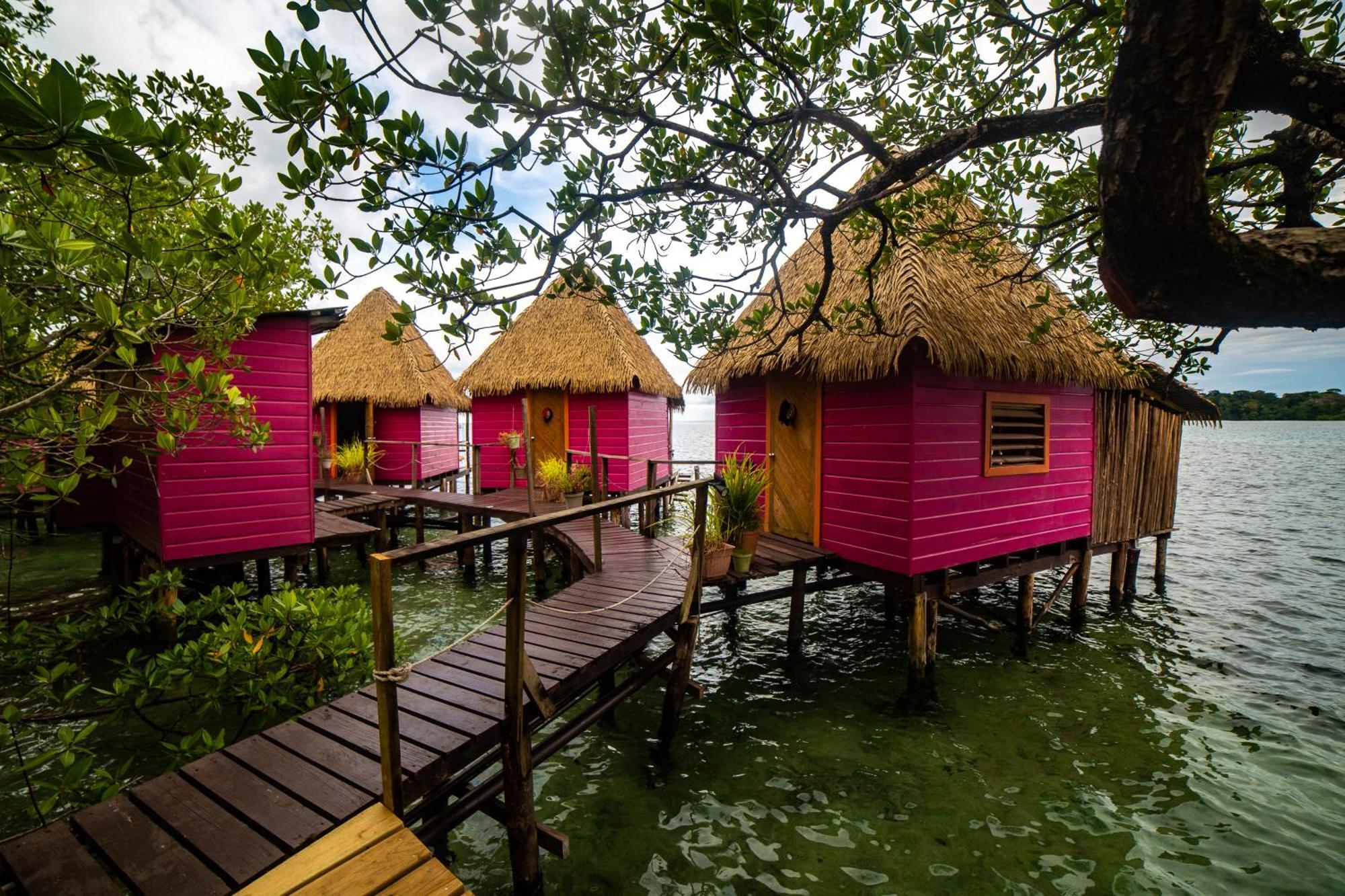 Urraca Monkey Island Eco Resort (Adults Only) Punta Laurel Exterior foto