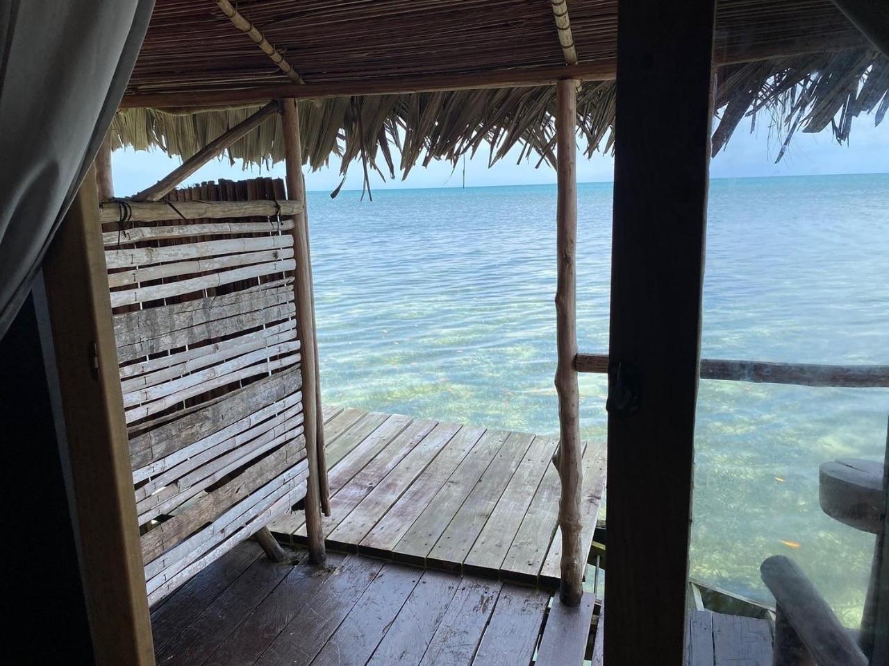Urraca Monkey Island Eco Resort (Adults Only) Punta Laurel Exterior foto