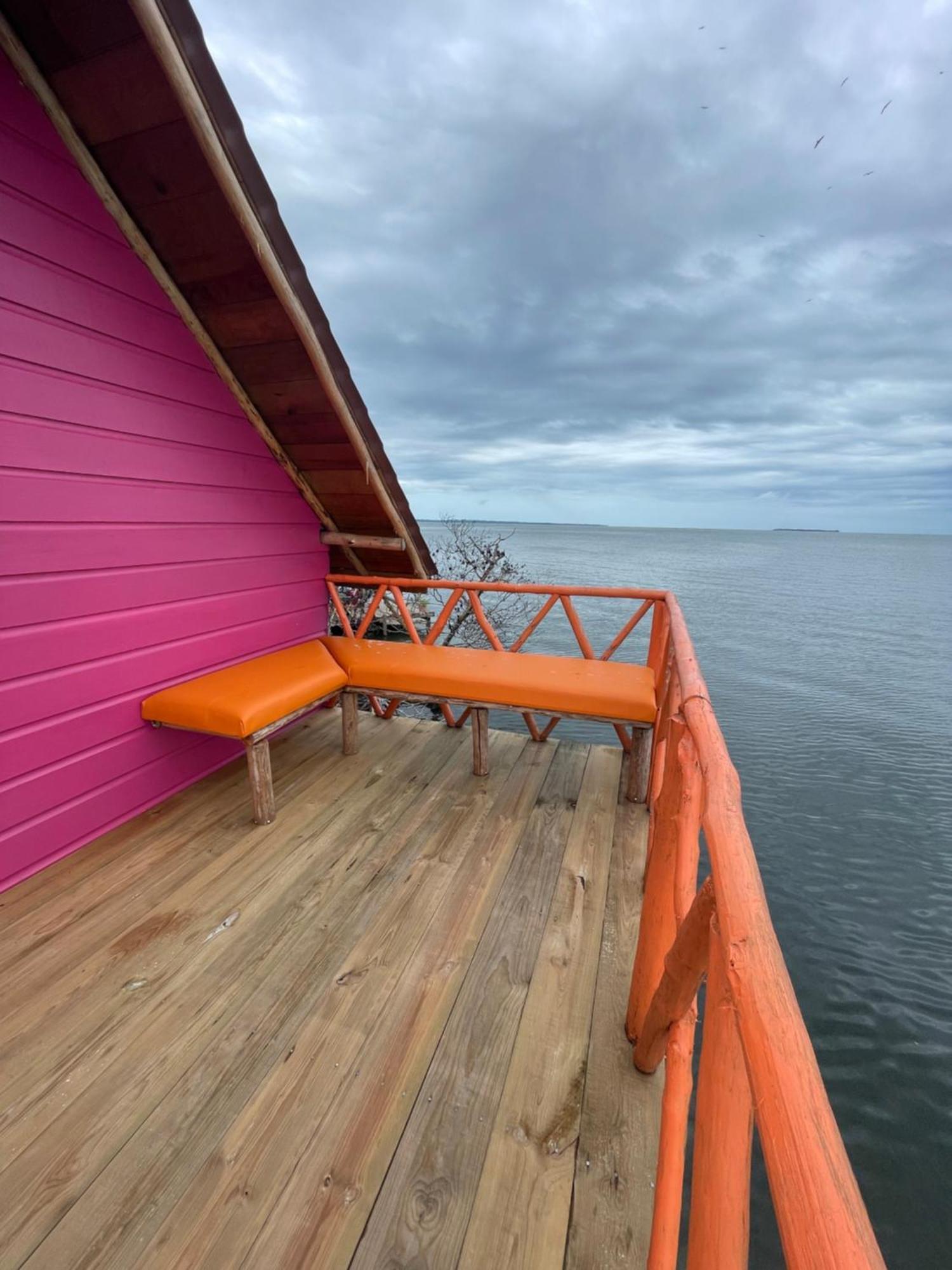 Urraca Monkey Island Eco Resort (Adults Only) Punta Laurel Cameră foto