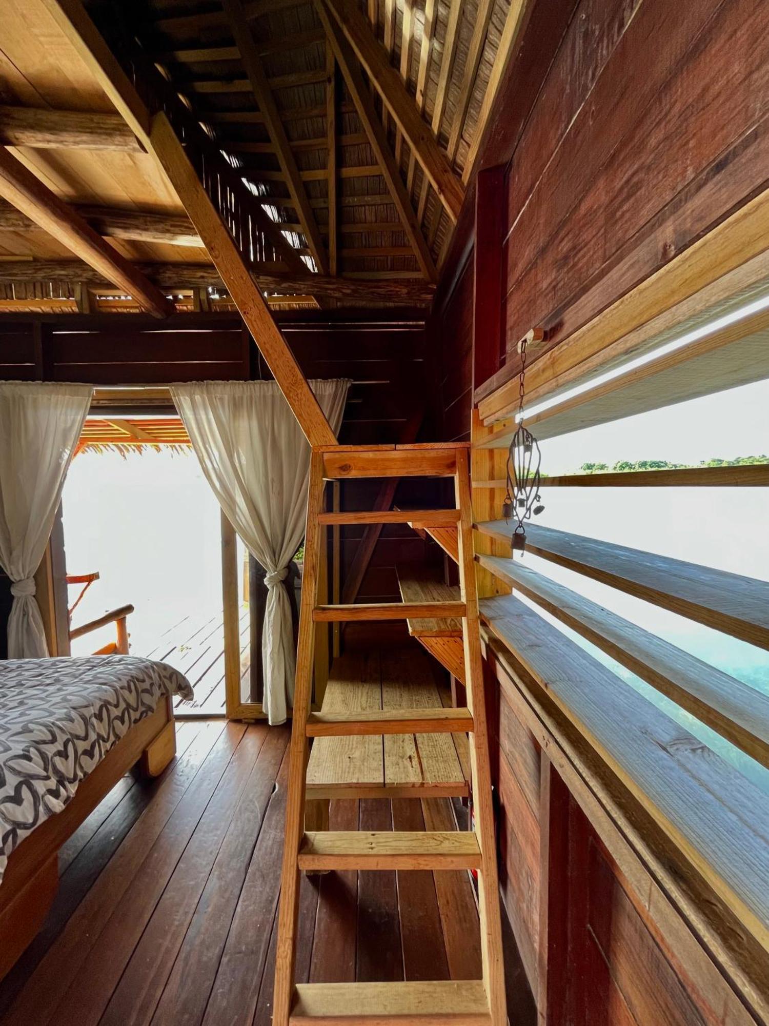 Urraca Monkey Island Eco Resort (Adults Only) Punta Laurel Cameră foto
