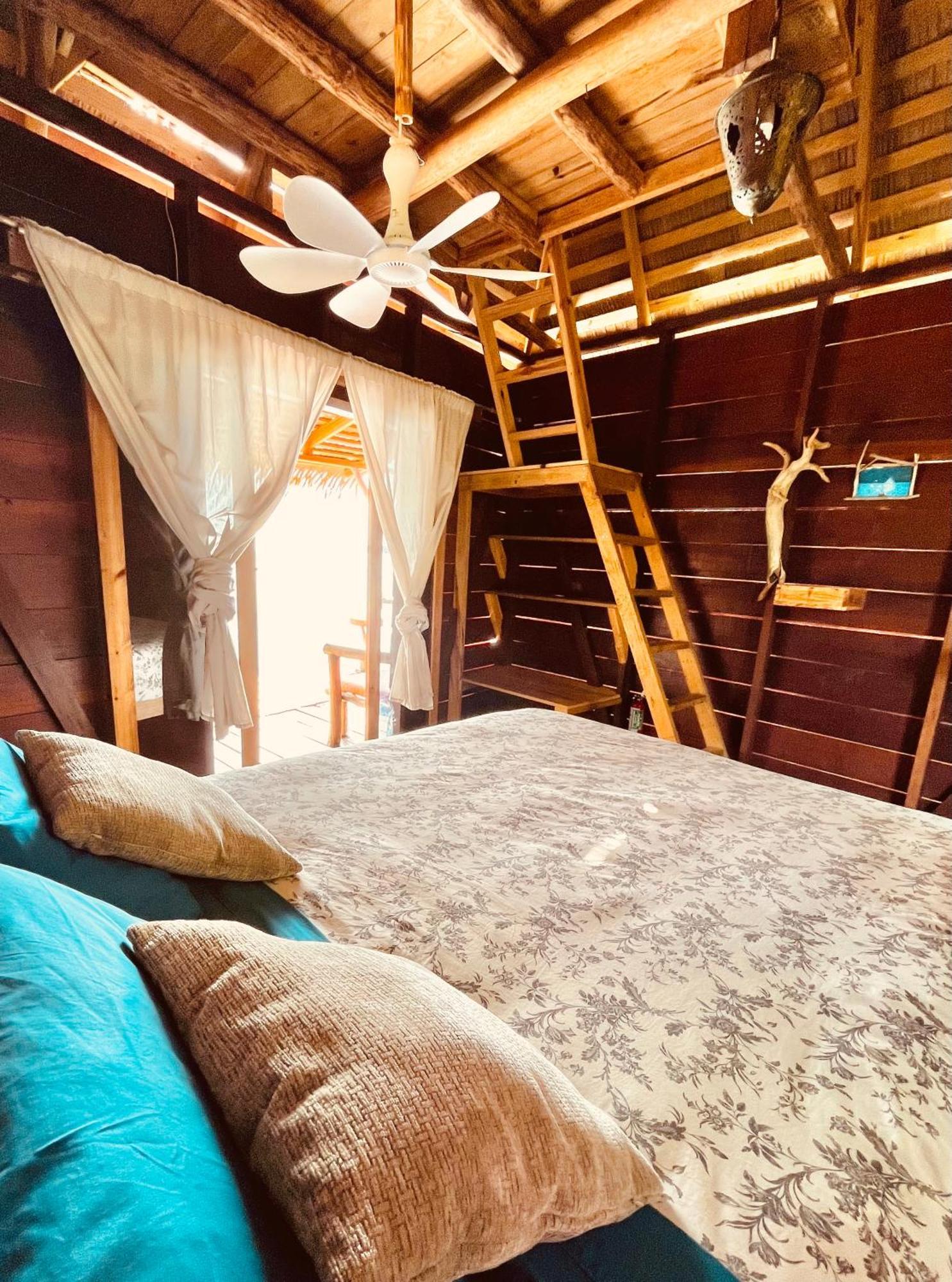 Urraca Monkey Island Eco Resort (Adults Only) Punta Laurel Cameră foto