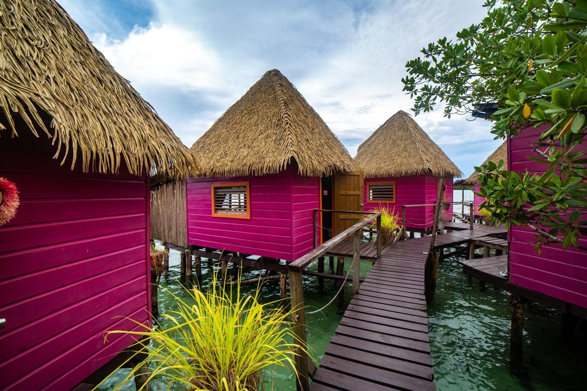 Urraca Monkey Island Eco Resort (Adults Only) Punta Laurel Exterior foto