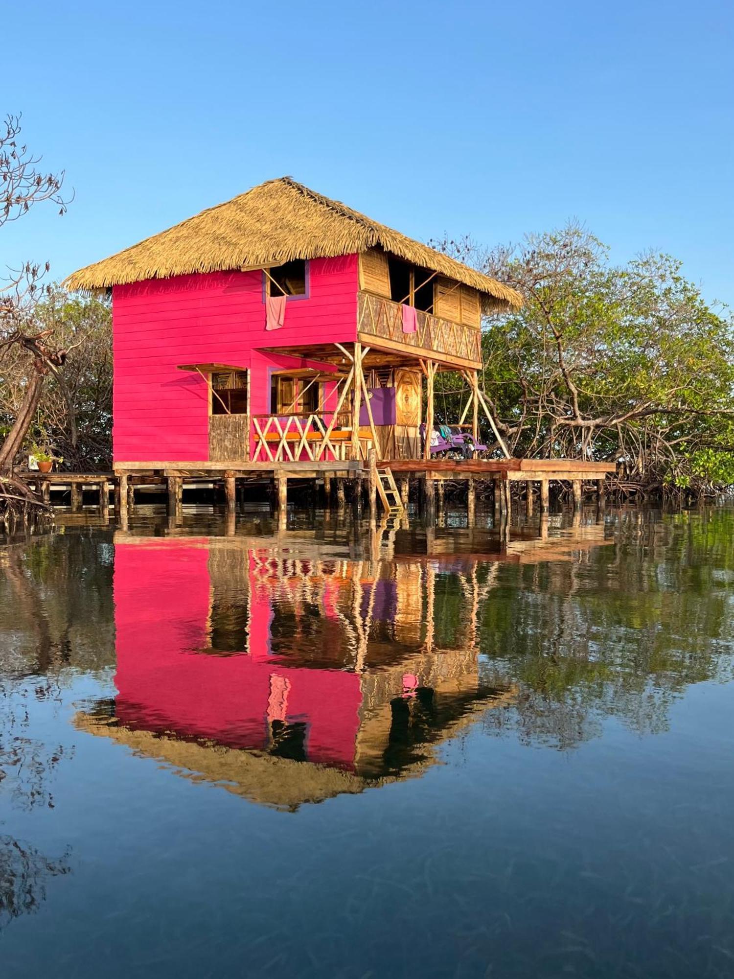 Urraca Monkey Island Eco Resort (Adults Only) Punta Laurel Cameră foto
